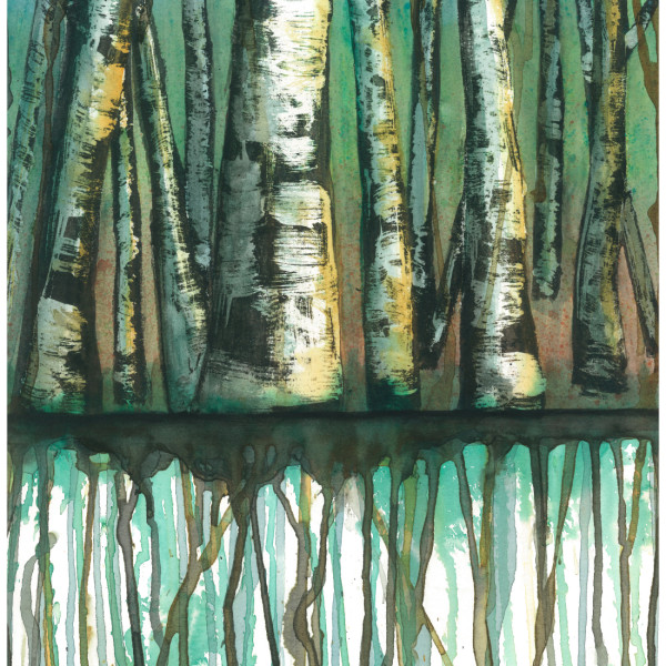 Birch Tree V